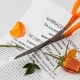 Why hire a divorce attorney in Milwaukee