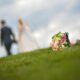 How Long After Divorce Can You Remarry in Wisconsin?